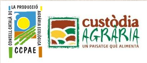 Captura desde 2025-03-10 09-23-10